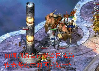 ����ж��Լ��Ƿ��ѳ�Ϊ������Ϸ�еĶ���սʿ��