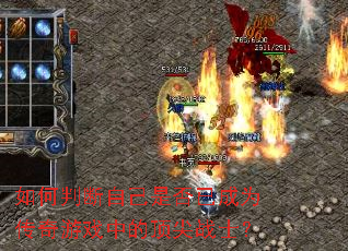 ����ж��Լ��Ƿ��ѳ�Ϊ������Ϸ�еĶ���սʿ��