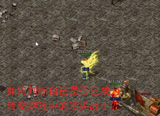 ����ж��Լ��Ƿ��ѳ�Ϊ������Ϸ�еĶ���սʿ��