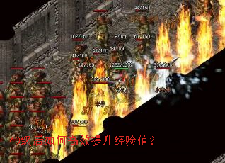 40������θ�Ч��������ֵ��