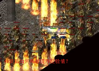 40������θ�Ч��������ֵ��