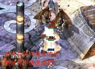 如何在弱肉强食的传奇世界中快速崛起? 如何在弱肉强食的传奇世界中快速崛起?