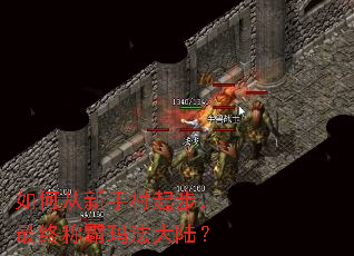 ��δ����ִ��𲽣����ճư��귨��½��