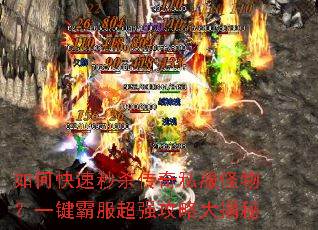 ��ο�����ɱ����˽�����һ���Է���ǿ���Դ����