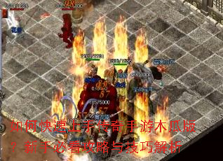 ��ο������ִ�������ľ�ϰ棿���ֱؿ������뼼�ɽ���