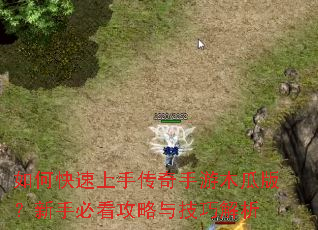 ��ο������ִ�������ľ�ϰ棿���ֱؿ������뼼�ɽ���