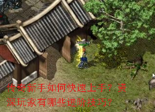 ����������ο������֣������������Щ���׼��ɣ�