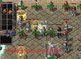 ��Ӣ�ۺϻ���ս����ο���������