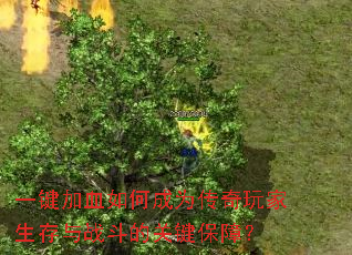 һ����Ѫ��γ�Ϊ�������������ս���Ĺؼ����ϣ�