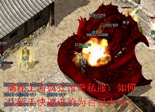 揭秘上海疯狂传奇私服:如何从新手快速进阶为百级大神? 揭秘上海疯狂传奇私服:如何从新手快速进阶为百级大神?