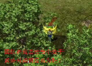 �Ŷ��ںϻ������д�������ʱ��η���Ϊʤ��