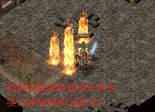 如何在新服快速提升角色实力并解锁更多副本? 如何在新服快速提升角色实力并解锁更多副本?