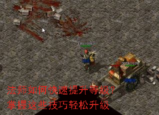 ��ʦ��ο��������ȼ���������Щ������������