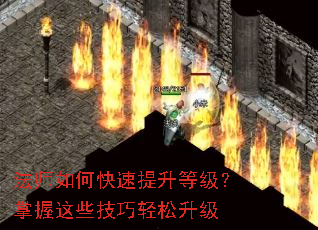 ��ʦ��ο��������ȼ���������Щ������������