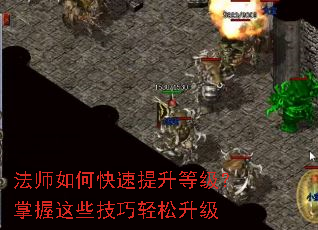 ��ʦ��ο��������ȼ���������Щ������������