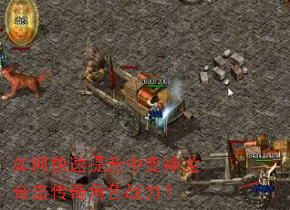 ��ο��������б������ϻ������ɫս����