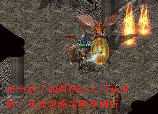 ����������ο������Ų����ף������Ա���ȫ����