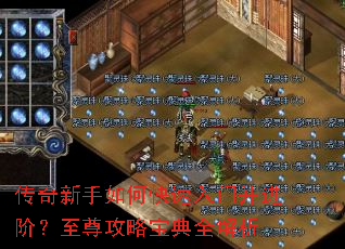 ����������ο������Ų����ף������Ա���ȫ����