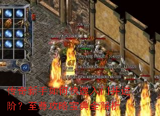 ����������ο������Ų����ף������Ա���ȫ����