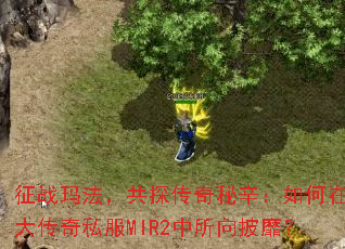 ��ս�귨����̽���������������ʢ����˽��MIR2���������ң�