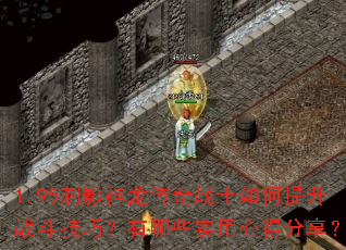 1.95��Ӱ��������սʿ�������ս�����ɣ�����Щʵ���ĵ÷�����