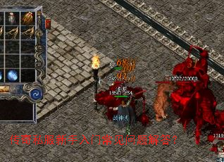 ����˽���������ų���������