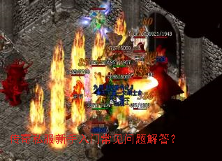 ����˽���������ų���������