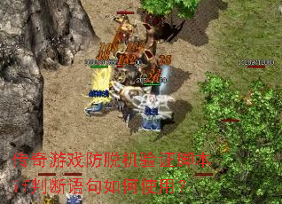 ������Ϸ���ѻ���֤�ű�if�ж�������ʹ�ã�