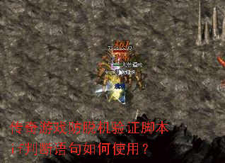 ������Ϸ���ѻ���֤�ű�if�ж�������ʹ�ã�