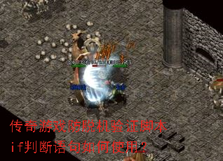 ������Ϸ���ѻ���֤�ű�if�ж�������ʹ�ã�