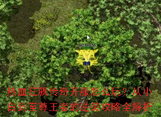 热血狂飙传奇开服怎么玩?从小白到至尊王者的逆袭攻略全解析 热血狂飙传奇开服怎么玩?从小白到至尊王者的逆袭攻略全解析