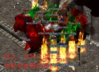 սʿ����ʦ����ʿ����ְҵ���ѡ��