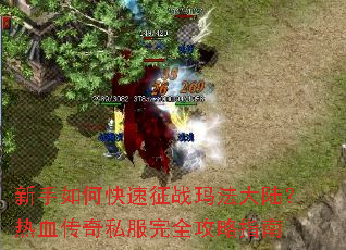 新手如何快速征战玛法大陆?热血传奇私服完全攻略指南 新手如何快速征战玛法大陆?热血传奇私服完全攻略指南