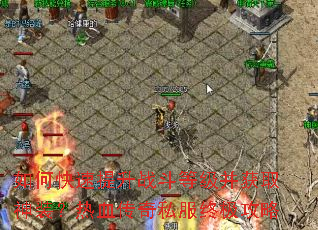 ��ο�������ս���ȼ�����ȡ��װ����Ѫ����˽���ռ�����