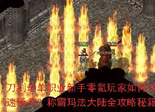 �����ٵ�ְҵ������������ο���ͨ�أ��ư��귨��½ȫ�����ؼ�