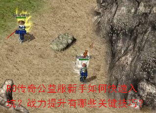 RO���湫���������ο�����ӣ�ս����������Щ�ؼ����ɣ�