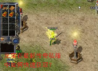 Ԫ�������´���˽������ο��ٻ�ȡ��