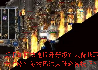 ������ο��������ȼ���װ����ȡȫ���ԣ��ư��귨��½�ر����ɣ�