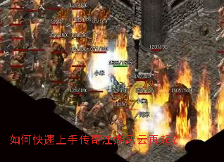 ��ο������ִ��潭����������