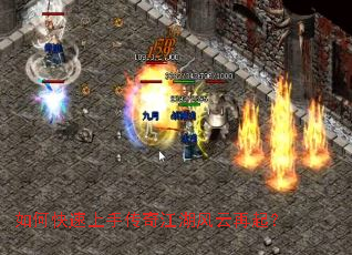 ��ο������ִ��潭����������