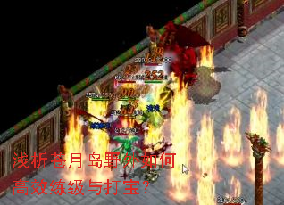 ǳ�����µ�Ұ����θ�Ч������򱦣�