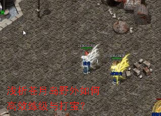 ǳ�����µ�Ұ����θ�Ч������򱦣�