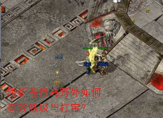 ǳ�����µ�Ұ����θ�Ч������򱦣�