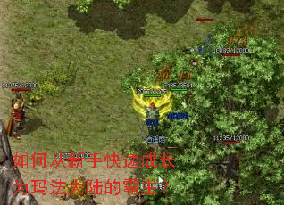 ��δ����ֿ��ٳɳ�Ϊ�귨��½�İ�����