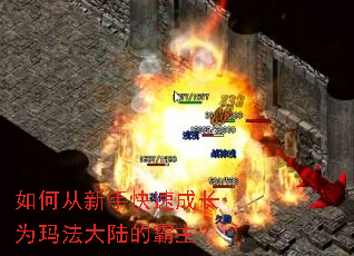 ��δ����ֿ��ٳɳ�Ϊ�귨��½�İ�����