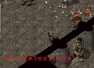 ��δ���Ϸ�����ɱ�Ϊְҵ��ң�