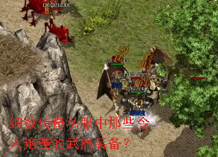 ϸ������˽������Щ�������۵�����װ����