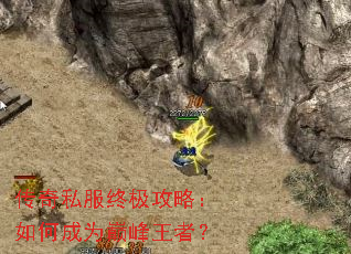 ����˽���ռ����ԣ���γ�Ϊ�۷����ߣ�