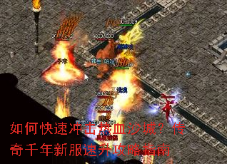 ��ο��ٳ����Ѫɳ�ǣ�����ǧ���·���������ָ��