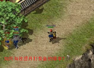 �����Ч������װ���ı��ʣ�